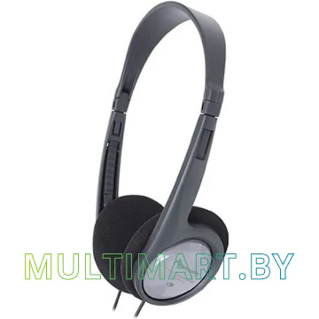 Наушники Panasonic RP-HT010GU-H
